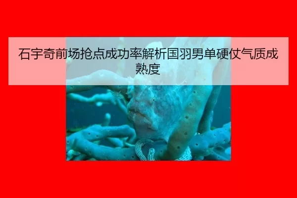 shi-yu-qi-qian-chang-qiang-dian-cheng-gong-lv-jie-xi-guo-yu-nan-dan-ying-zhang-qi-zhi-cheng-shu-du-2-195.jpg